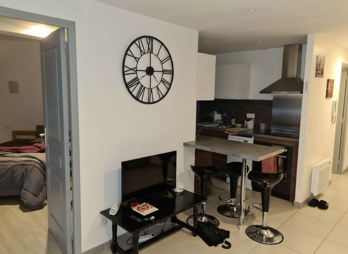 Flat Rue Émile Zola in Pau