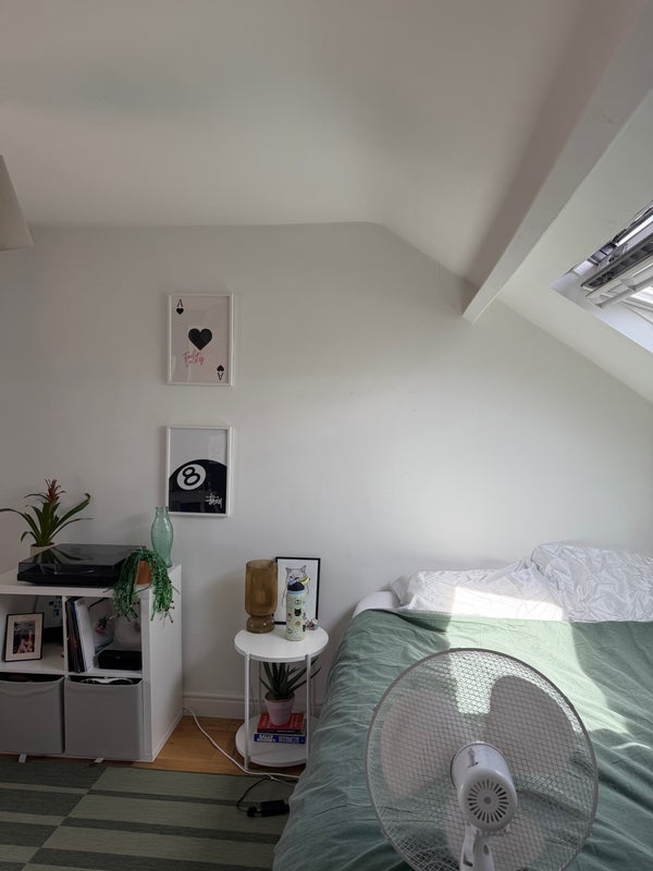 Room Stannington Avenue in Newcastle upon Tyne