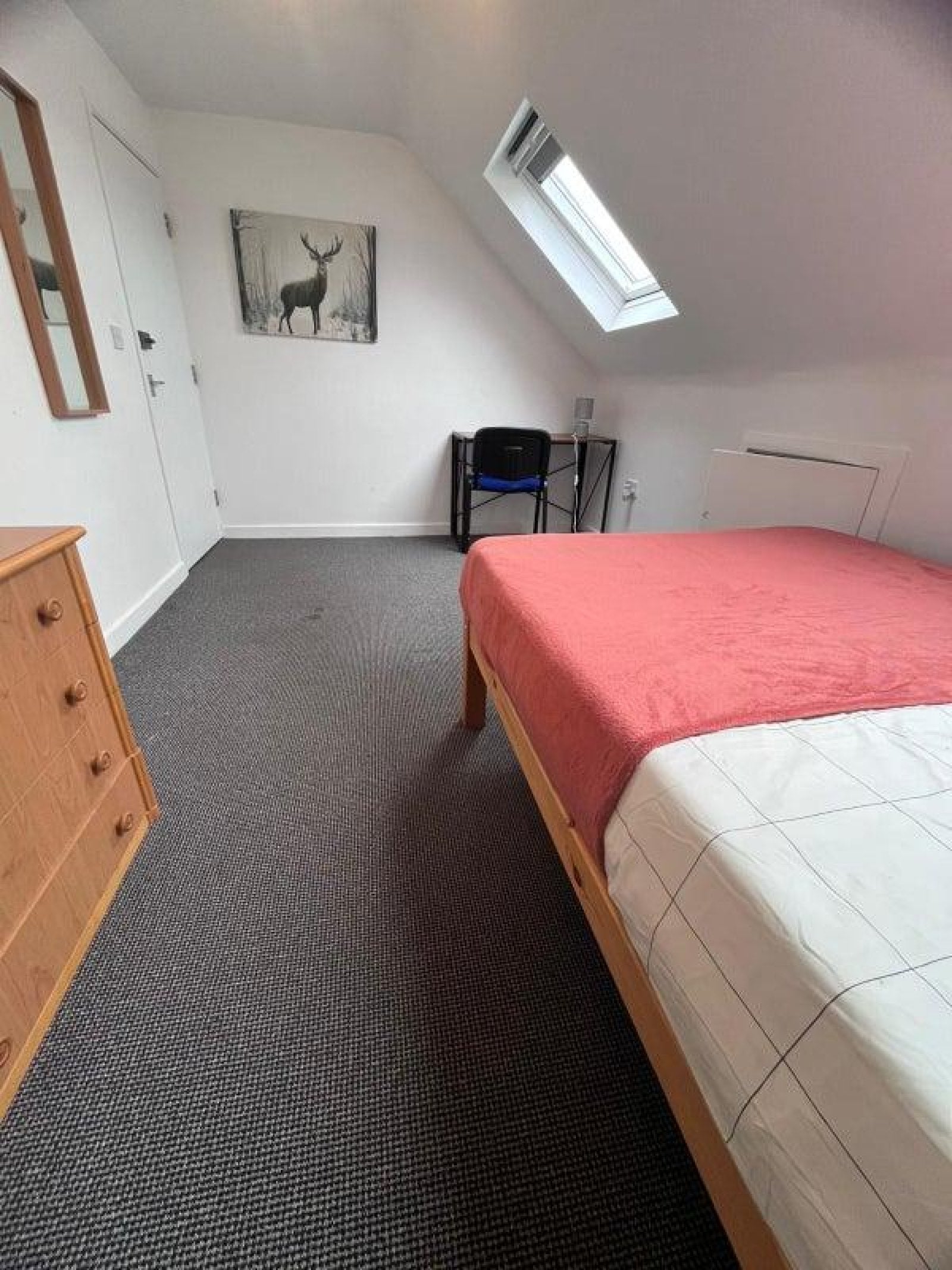 Room St. Martin's Avenue in Canterbury