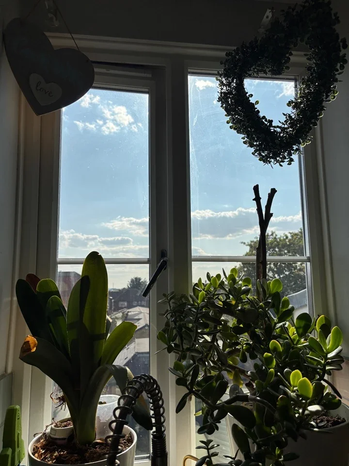 Room Sandfield Passage in Greater London