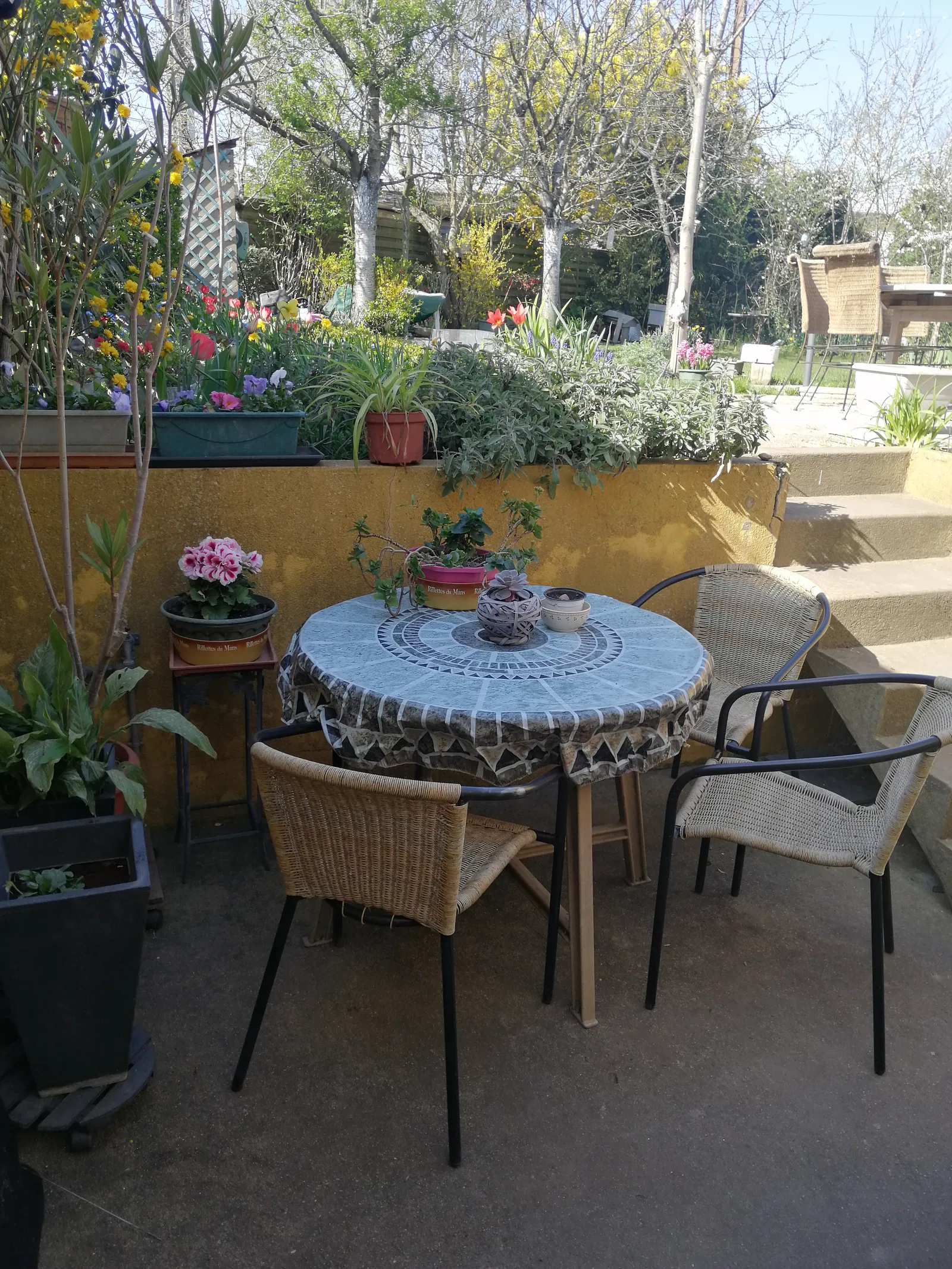 Chambre Allée des Mimosas à Le Mans