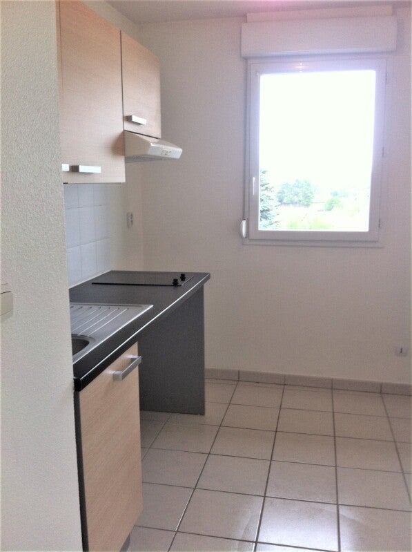 Appartement Rue Jacques Guignard à Pibrac