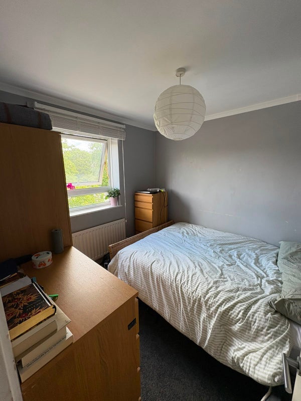 Room Smedley Street in Greater London