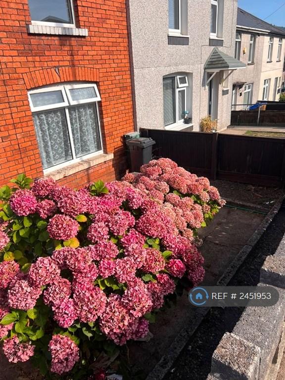 House Ruskin Street in Briton Ferry