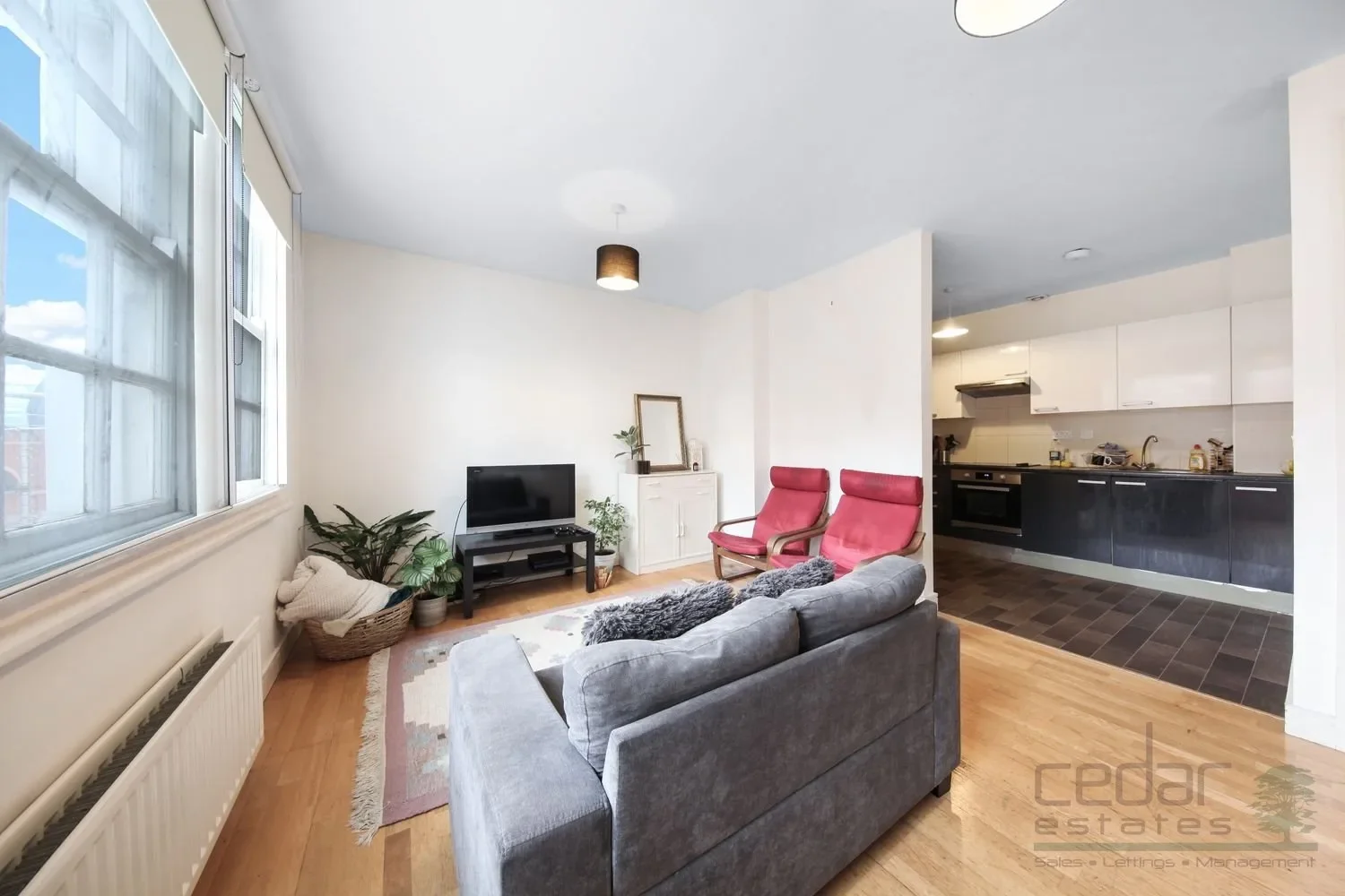 House Rye Lane in Greater London