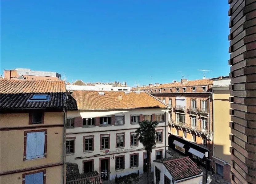 Flat Rue Maurice Fonvieille in Toulouse