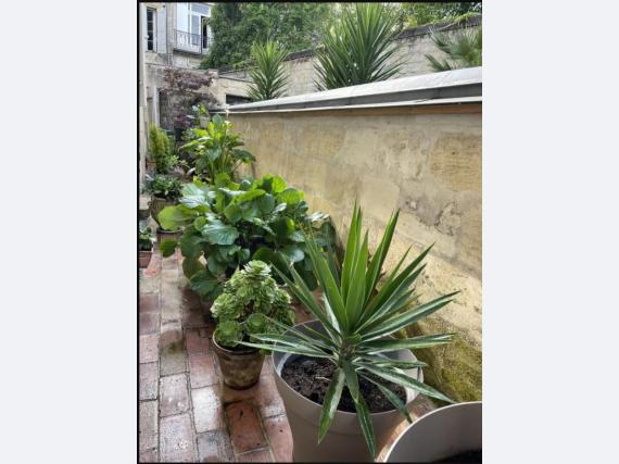 Flat Rue duffour-dubergier in Bordeaux