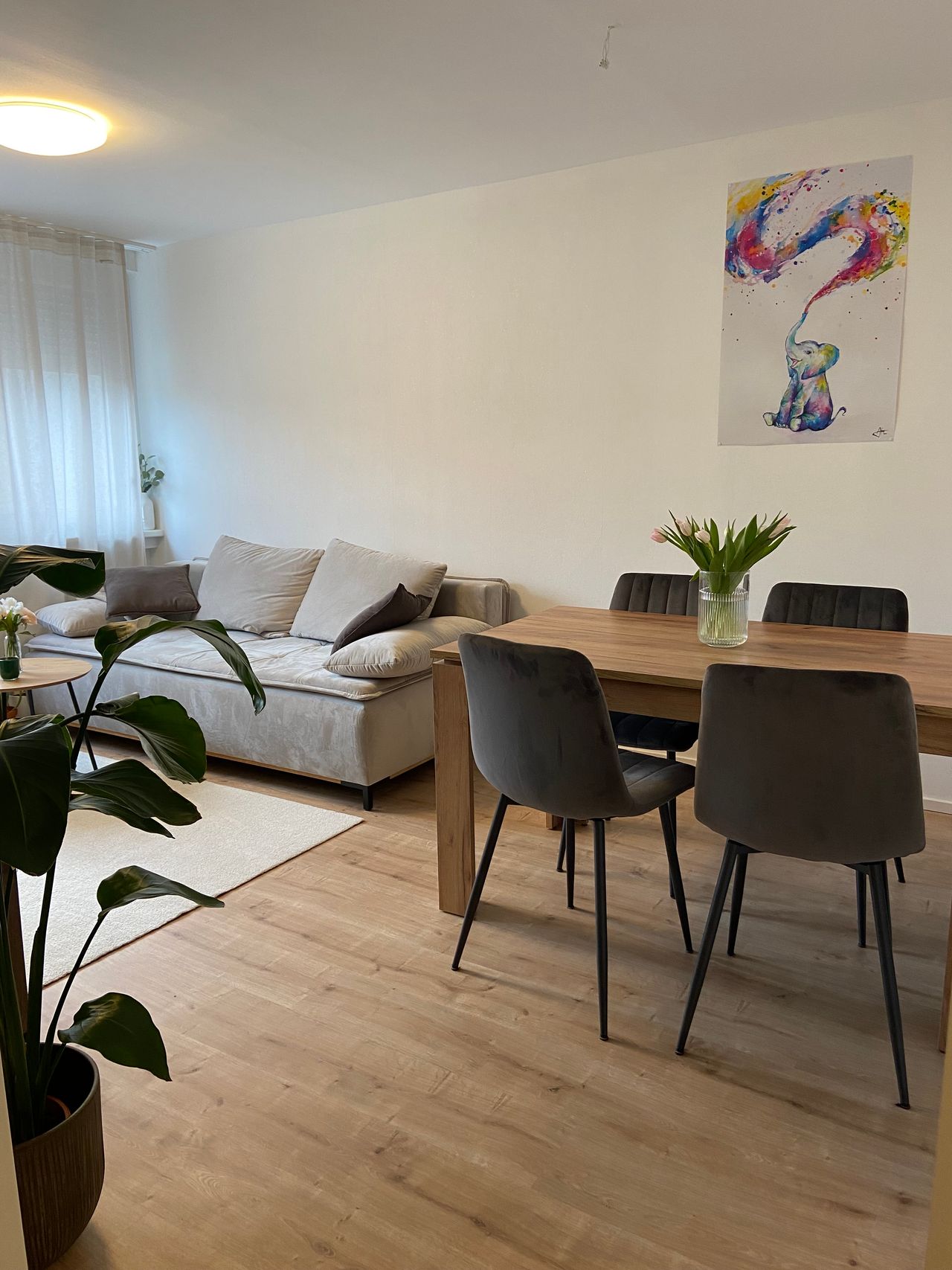 Wohnung Frauenlobstraße in Mainz