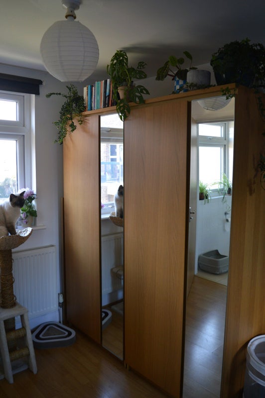 Room Tamar Way in Greater London