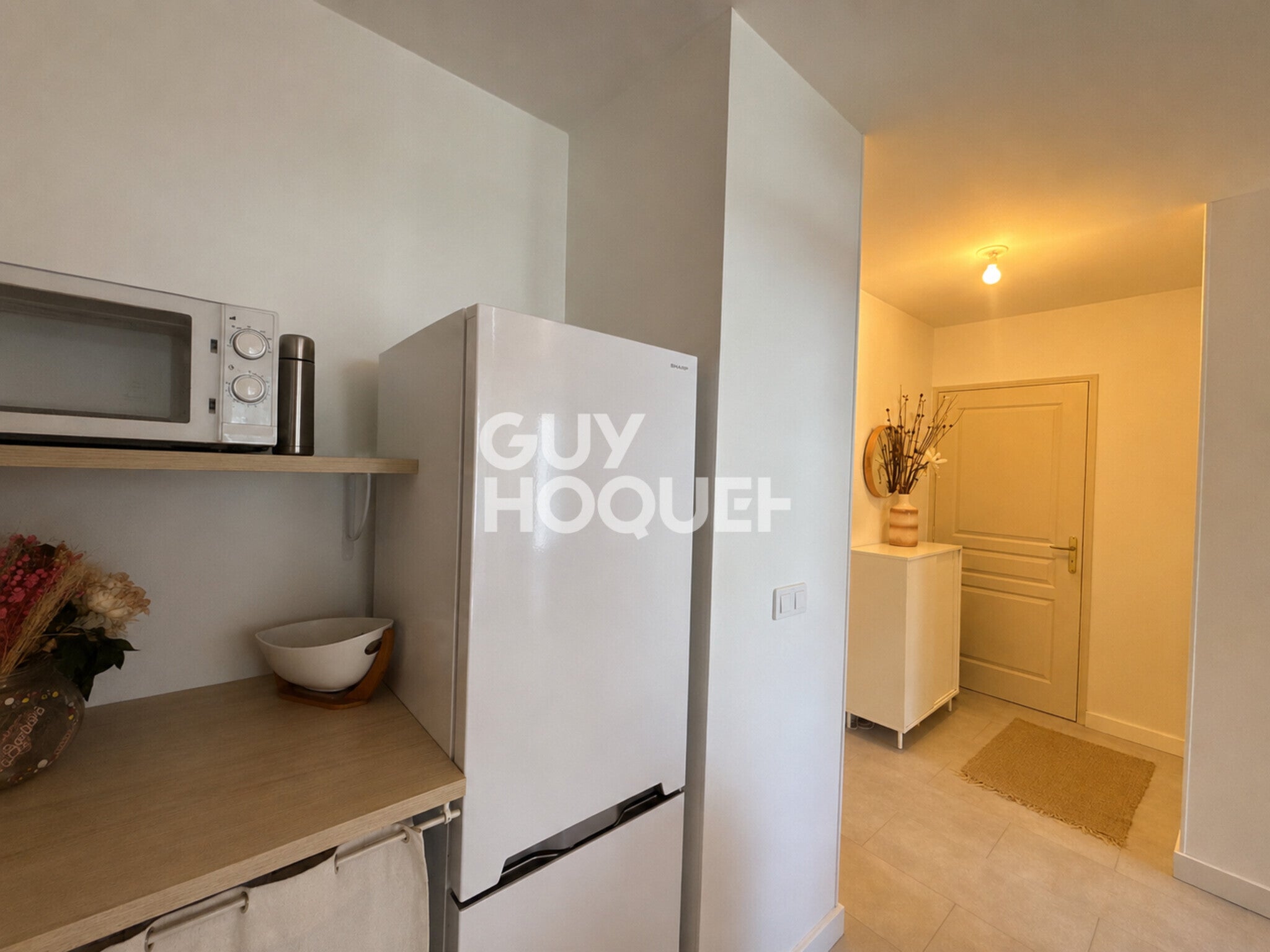 Appartement Cours Tolstoï à Villeurbanne