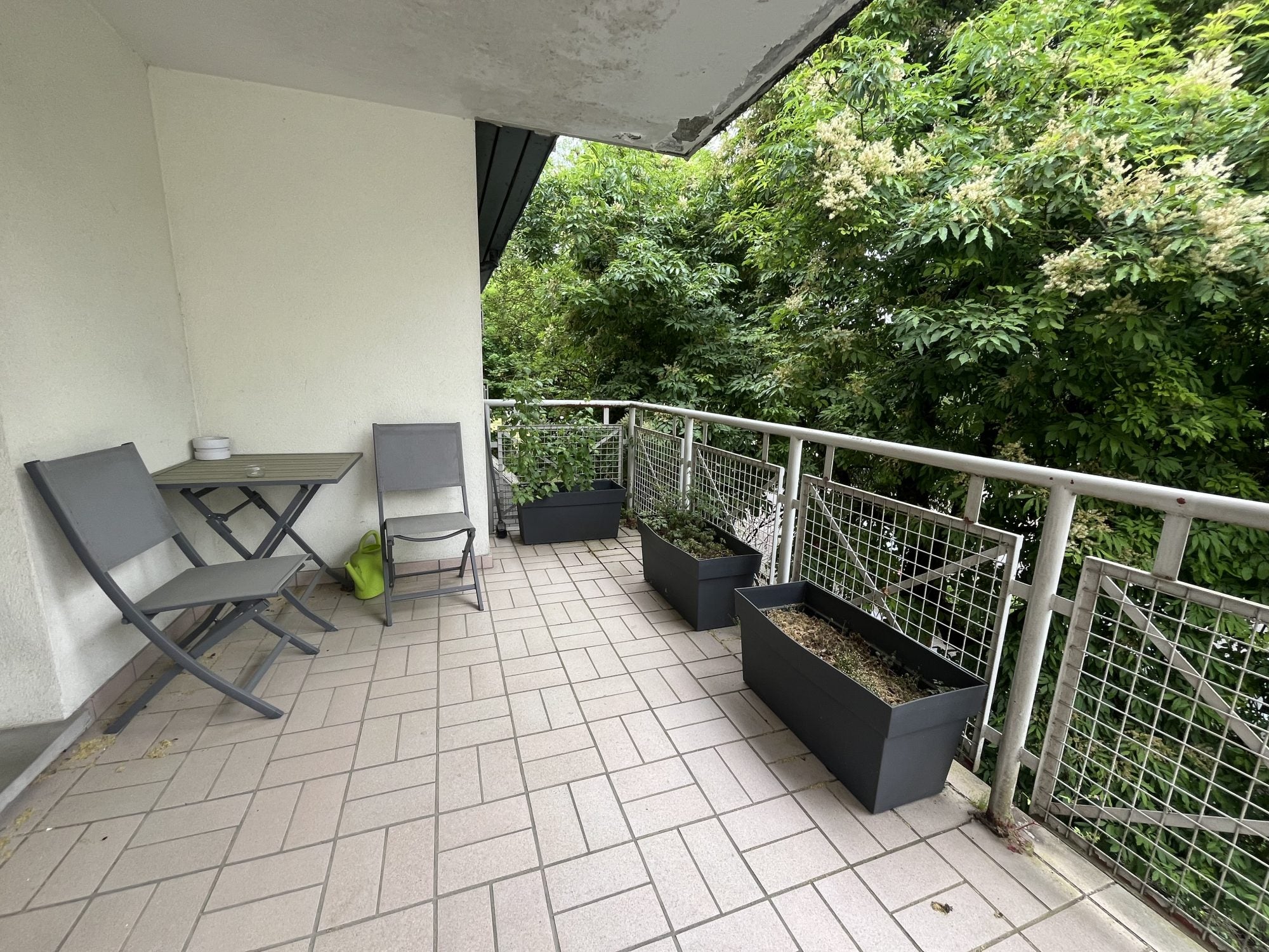 Appartement Rue de la Lamproie à Strasbourg