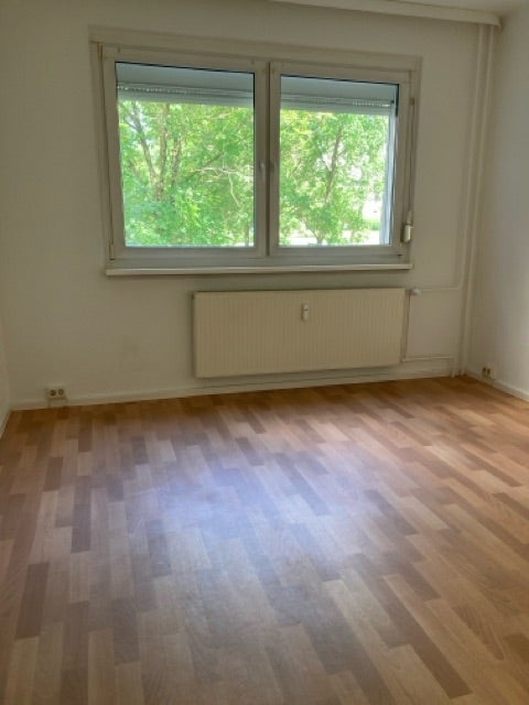 Wohnung Werner-Seelenbinder-Ring in Dessau