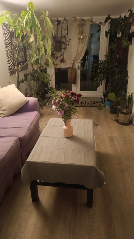 Room Ernest Barker Close in Bristol