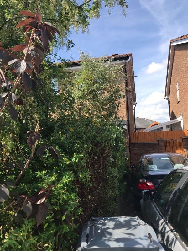 House Celerity Drive in Cardiff