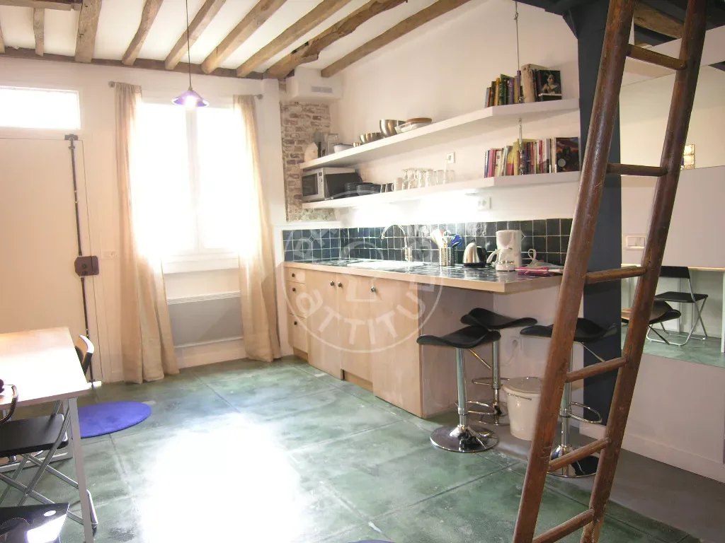 Flat Rue de la Clef in Paris