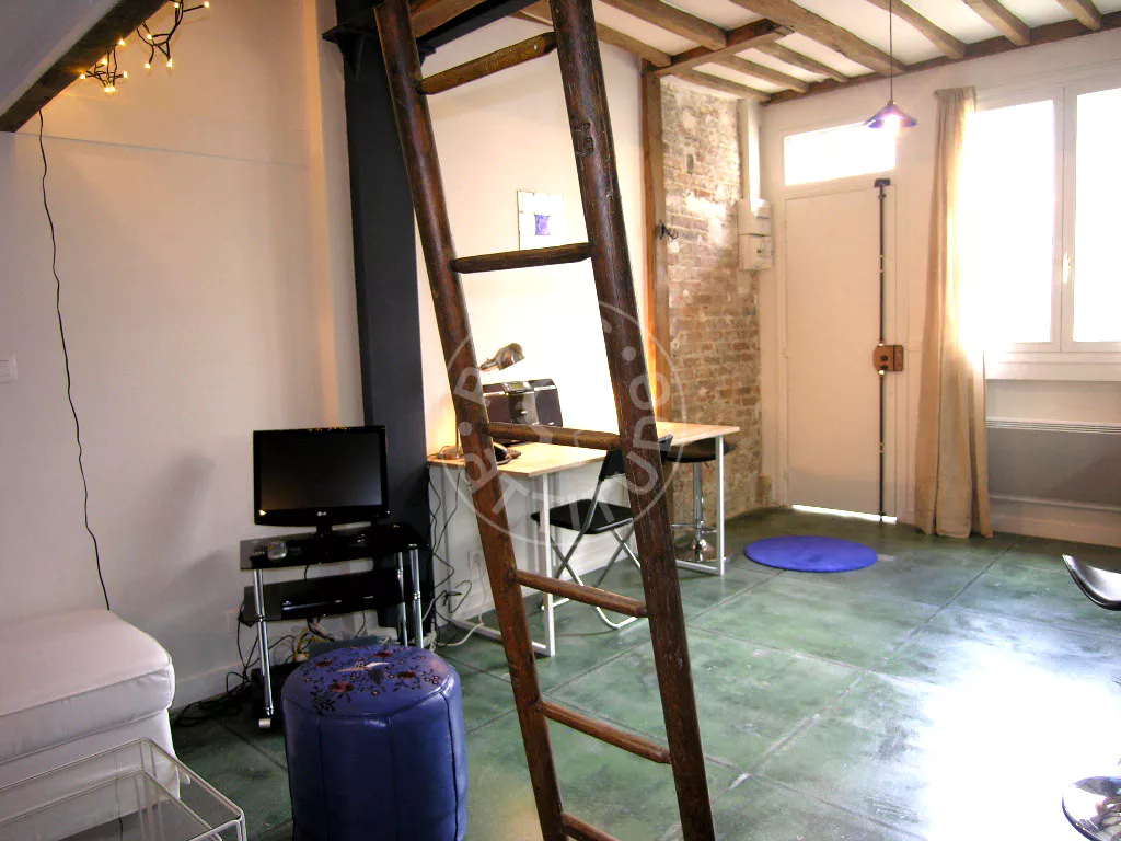 Flat Rue de la Clef in Paris