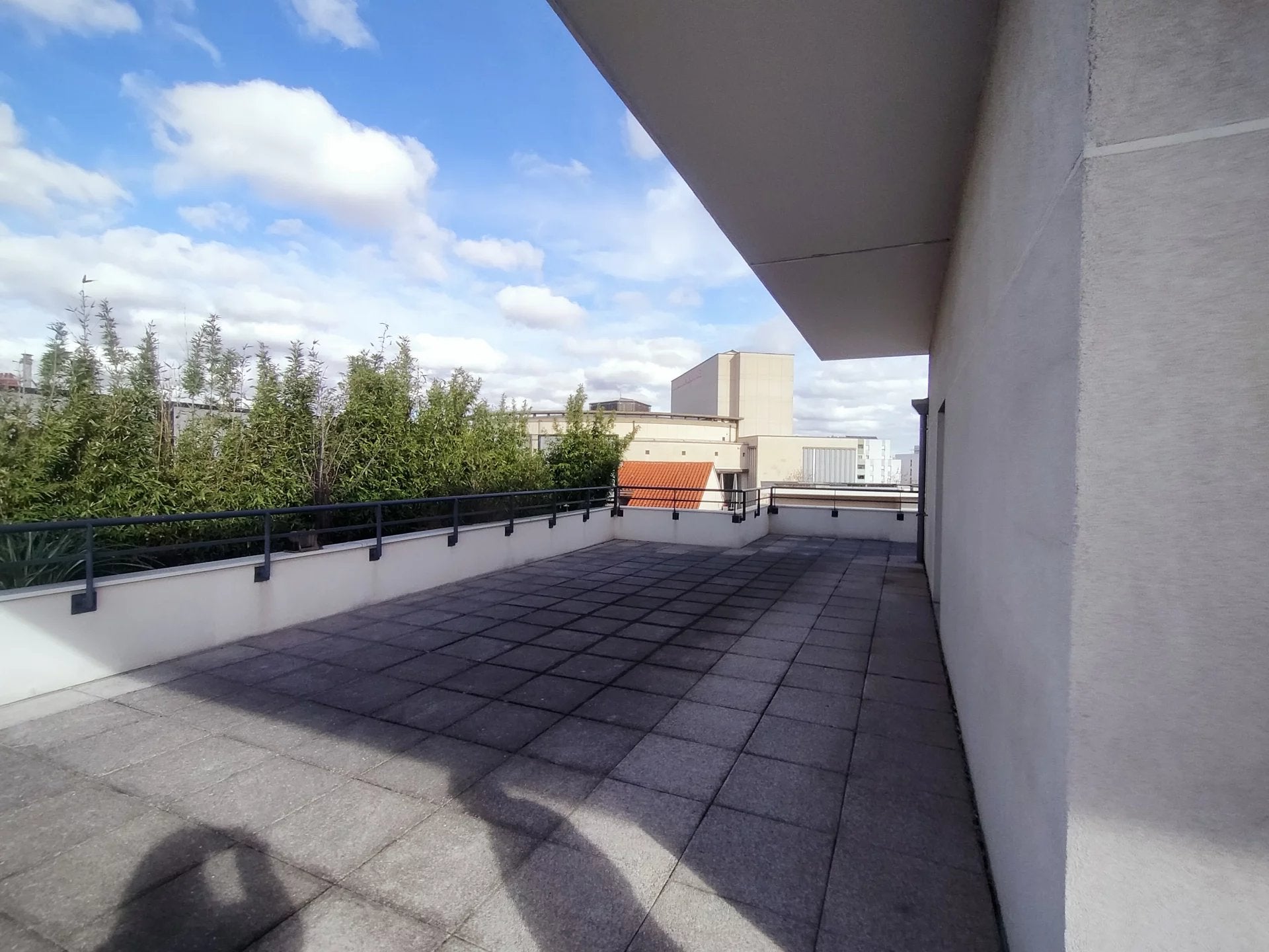 Flat Avenue Paul Santy in Lyon