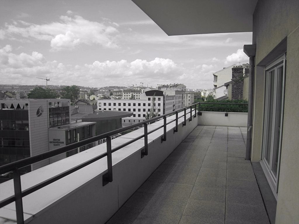 Flat Avenue Paul Santy in Lyon