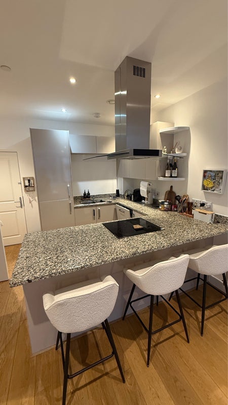 Flat Ponton Road in Greater London