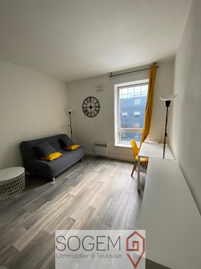 Flat Quai Saint-Pierre in Toulouse