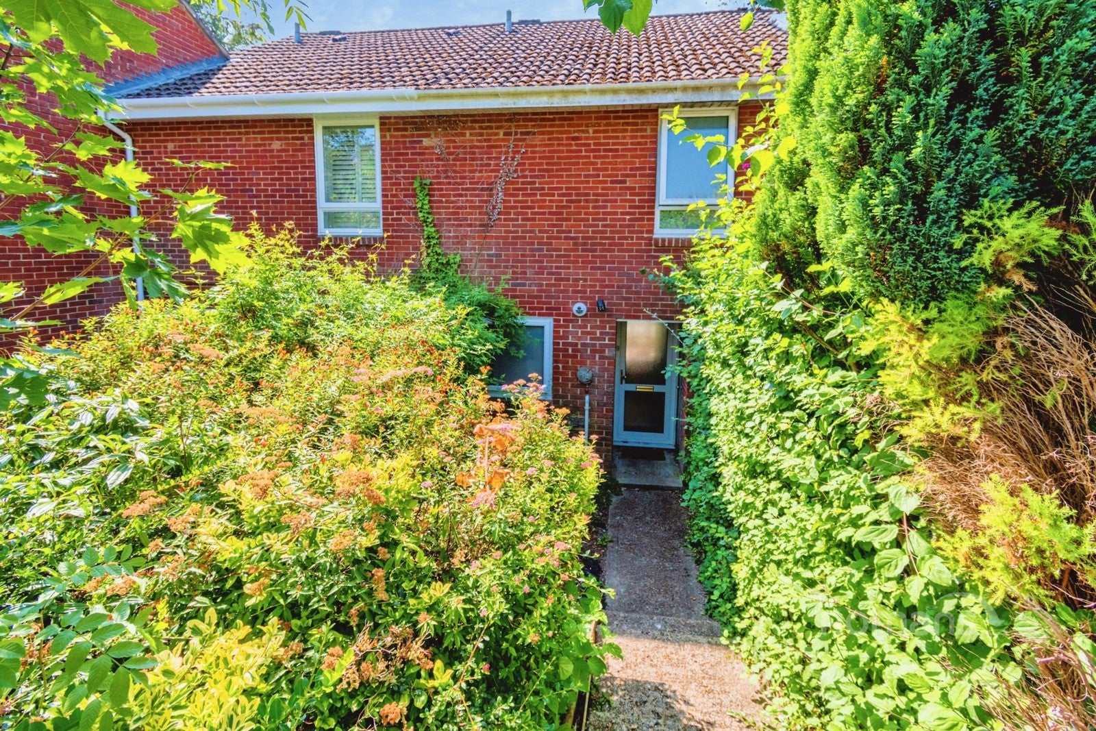 House May Tree Close in Winchester