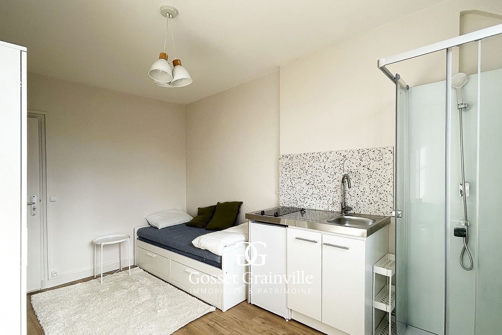 Appartement Rue de Berne à Paris
