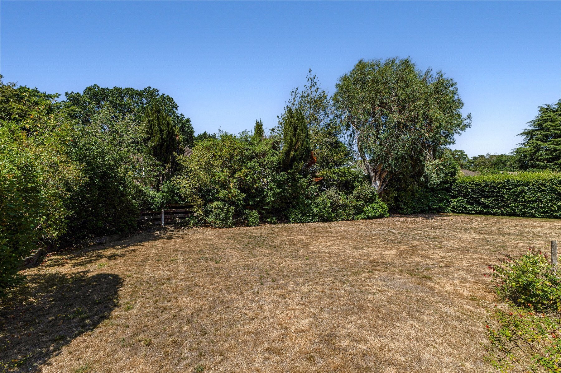 House Milner Drive in Elmbridge