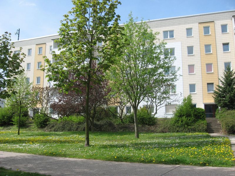 Wohnung Lilienthalstraße in Schkeuditz