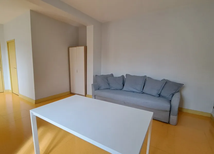 Appartement Rue du Faubourg Bannier à Orléans