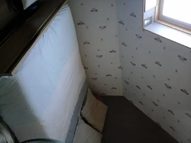 Room Rue de Vallerotte in Ouanne