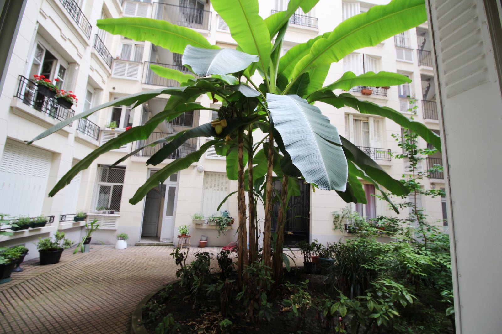 Appartement Cité Lemercier à Paris