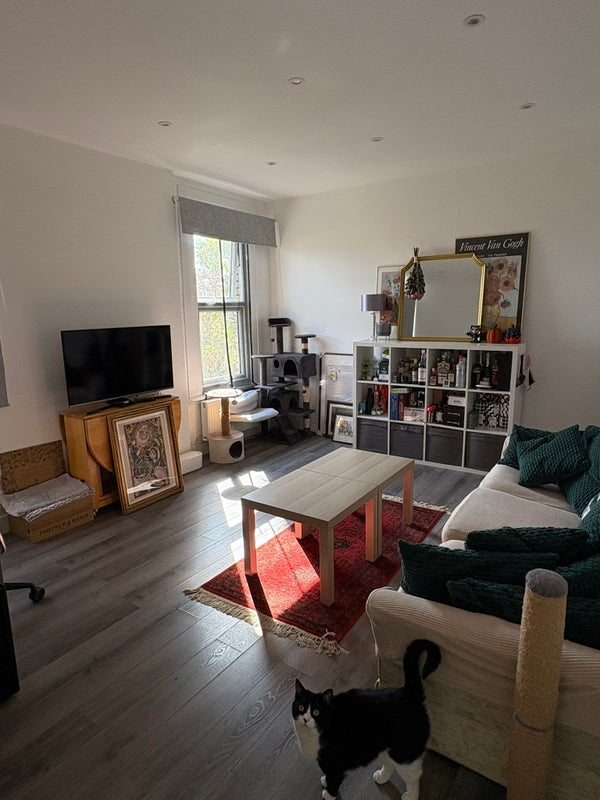 Room Pendennis Road in Greater London