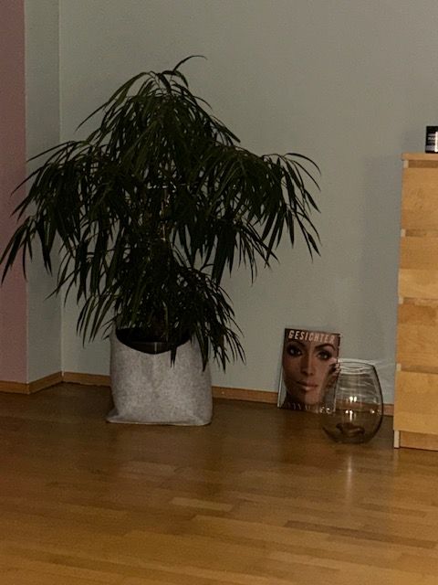 Wohnung Im Grund in Planegg