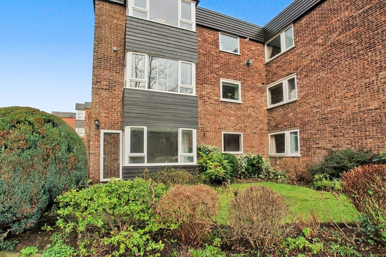 Flat Mount Felix in Elmbridge