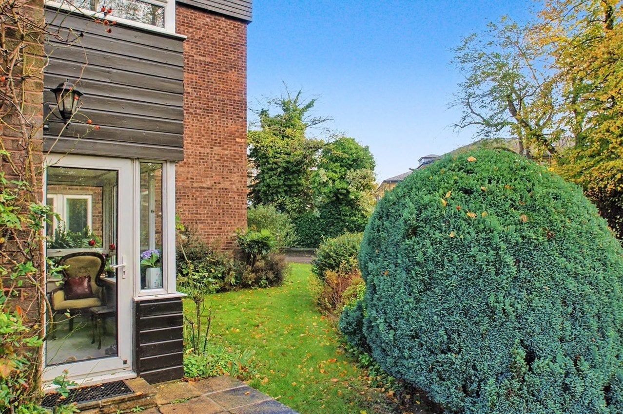 Flat Mount Felix in Elmbridge