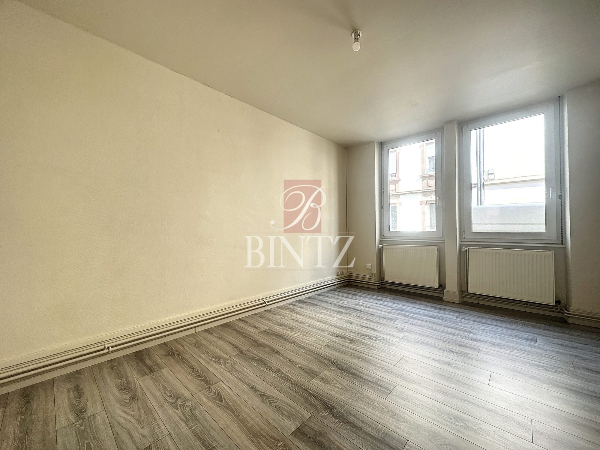 Appartement Rue de Haguenau à Schiltigheim