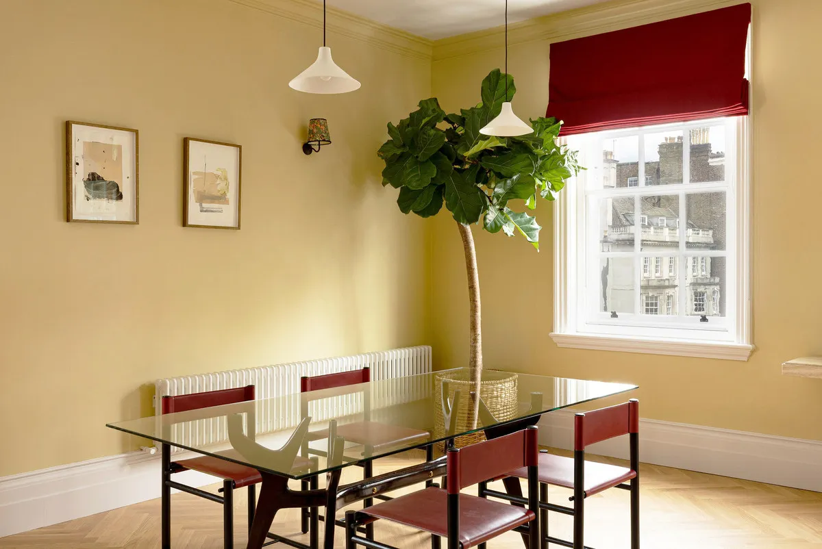 Flat Harley Street in City of Westminster