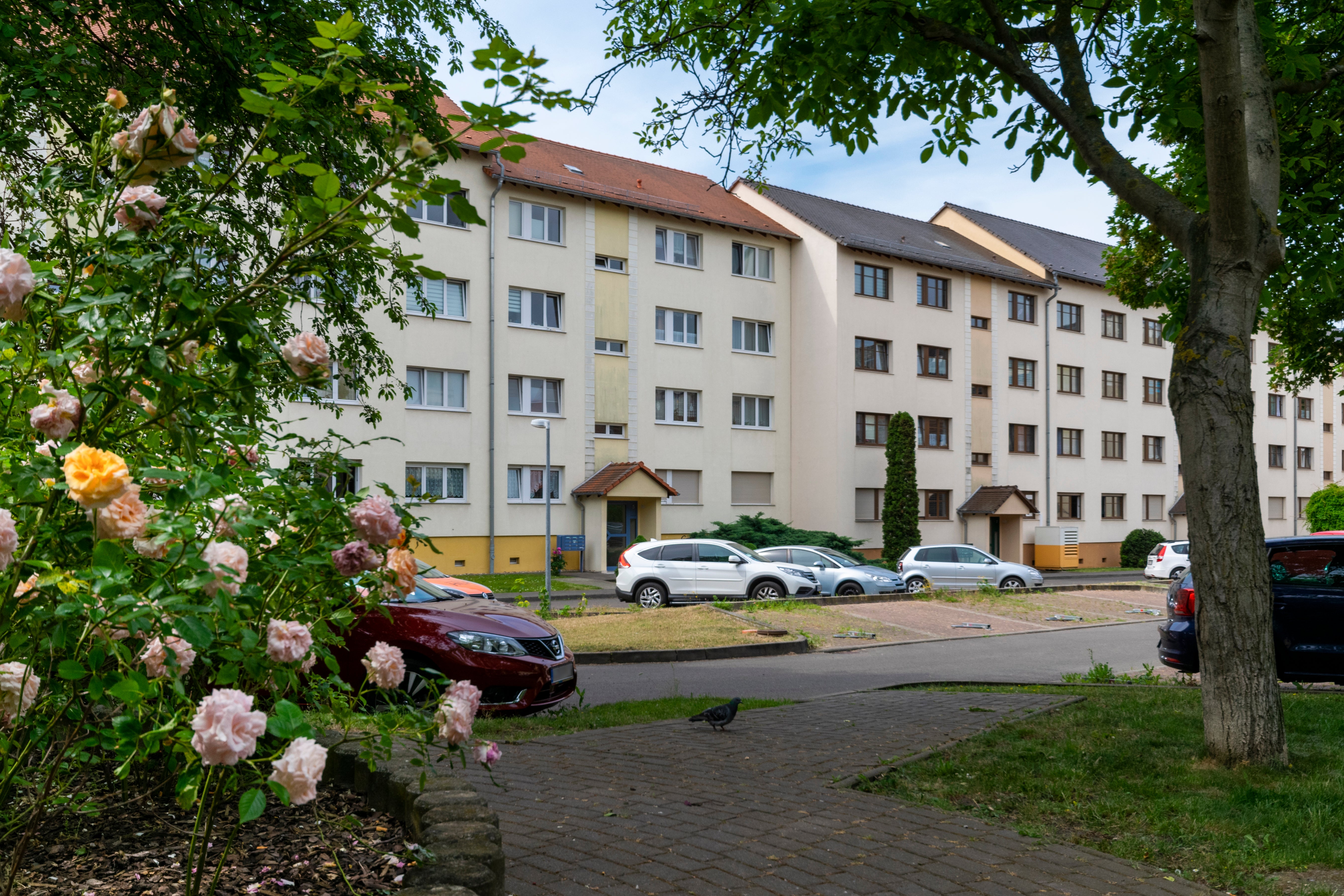 Wohnung Entenplan in Merseburg