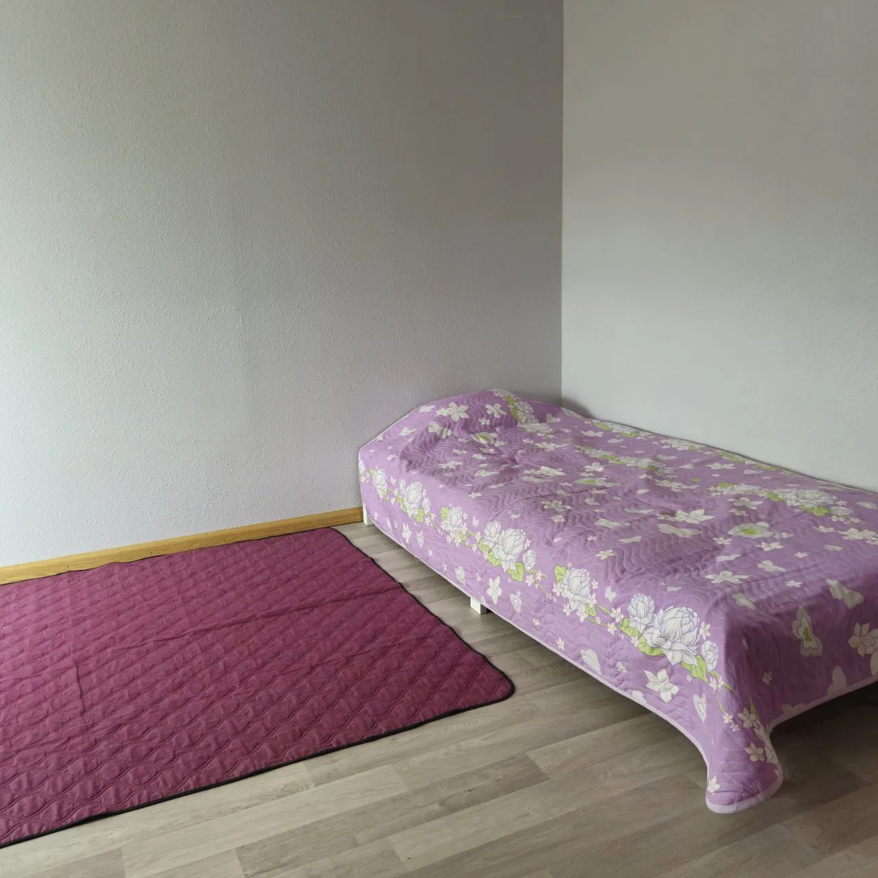 Room Place de l'Égalité in Mulhouse
