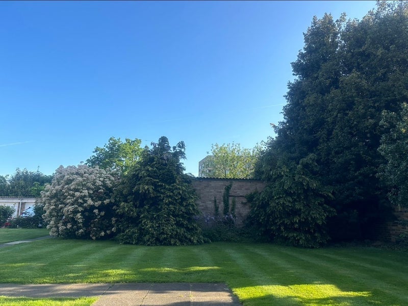 Room Hamilton Road in Greater London
