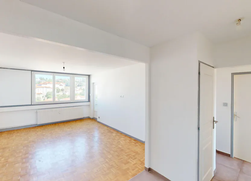 Appartement Rue Antoine Durafour à Saint-Étienne