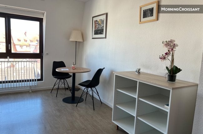 Flat Rue Roesselmann in Colmar