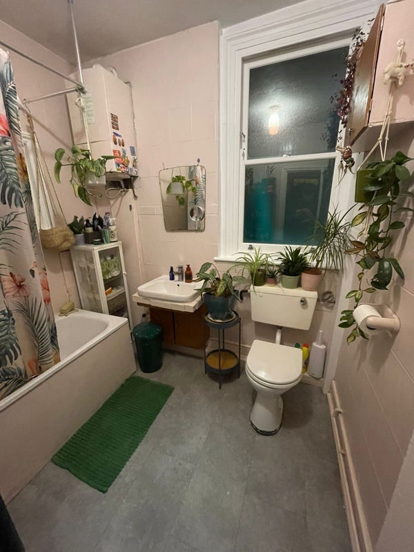 Room Tressillian Crescent in Greater London
