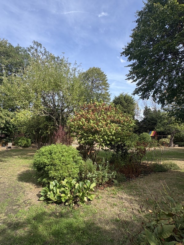 Flat Larkhall Rise in Greater London