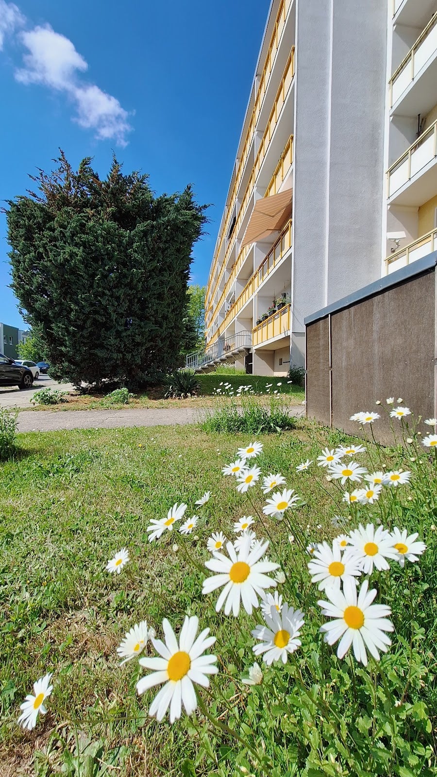 Wohnung Lausitzer Straße in Görlitz