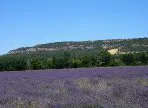 Room Rue de la Roche in Donzère