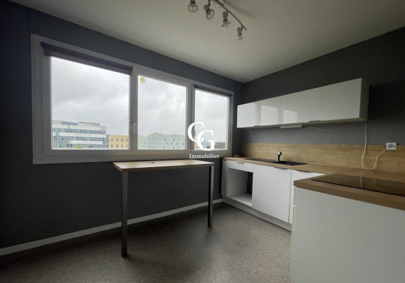 Flat Rue Président Desmars in Nantes