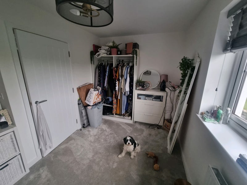 Room Ellis Drive in East Hertfordshire