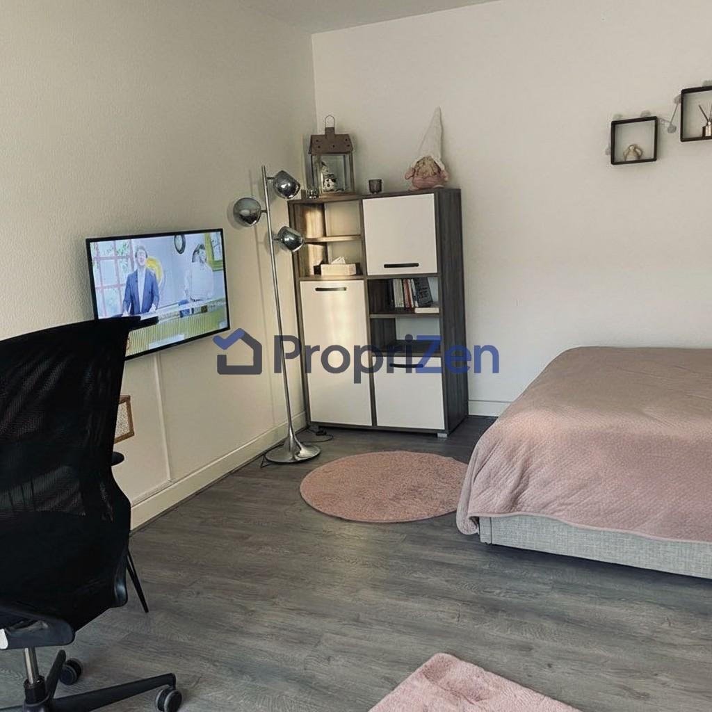 Appartement Rue Léon Ungemach à Schiltigheim