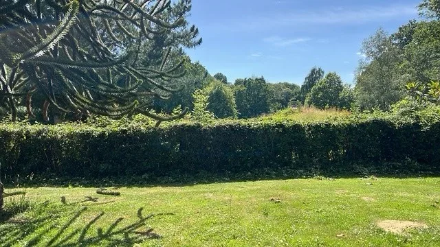 Room Cherry Orchard Lane in Ashford